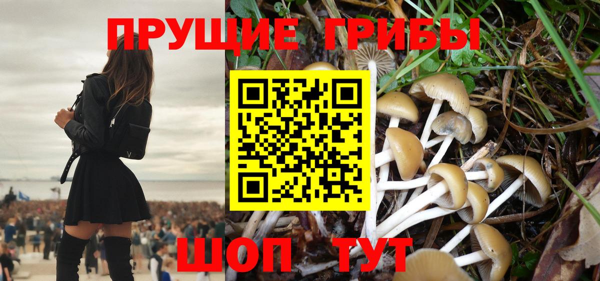 Псилоцибиновые грибы ЛСД Осинники