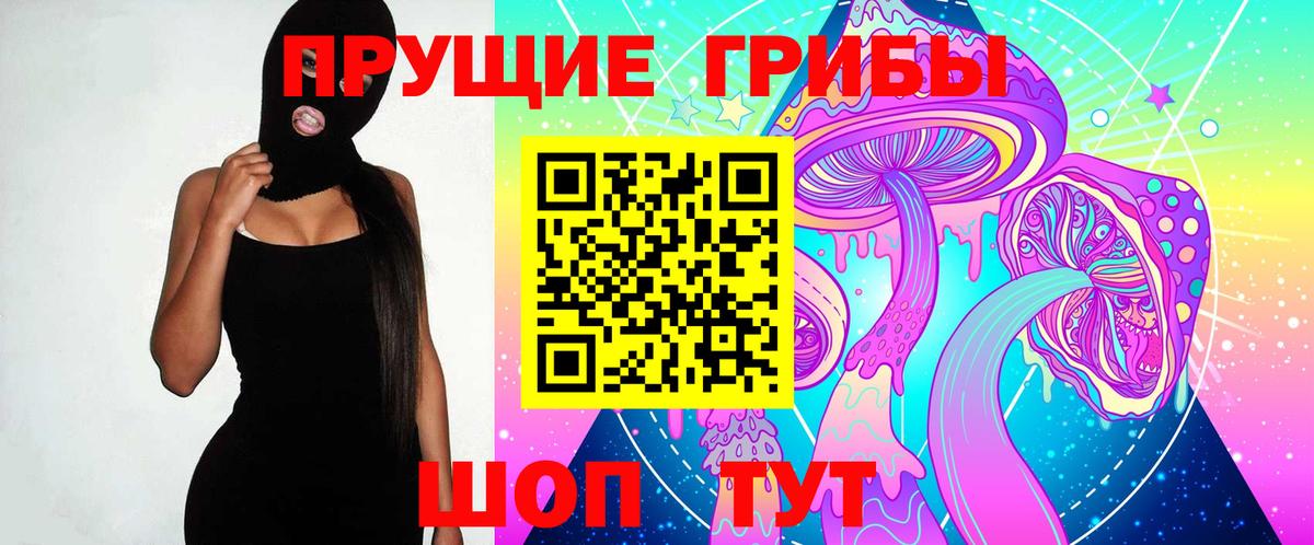 Осинники  Псилоцибиновые грибы прущие грибы  Вход с VPN 